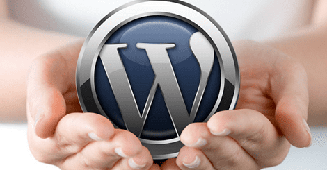 Plusieurs statistiques surprenantes sur WordPress