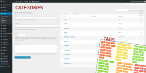 Pour appréhender WordPress et l’utiliser au mieux, il est important d’en maîtriser les bases, et connaître notamment la différence qui existe entre une catégorie et un tag, deux notions souvent confondues. Découvrons leurs spécificités !