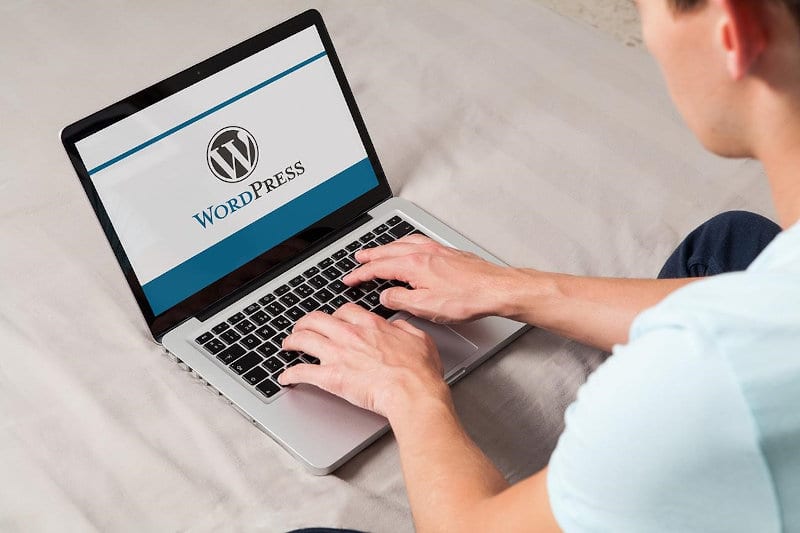 Tutoriel pour revenir à une ancienne version de WordPress
